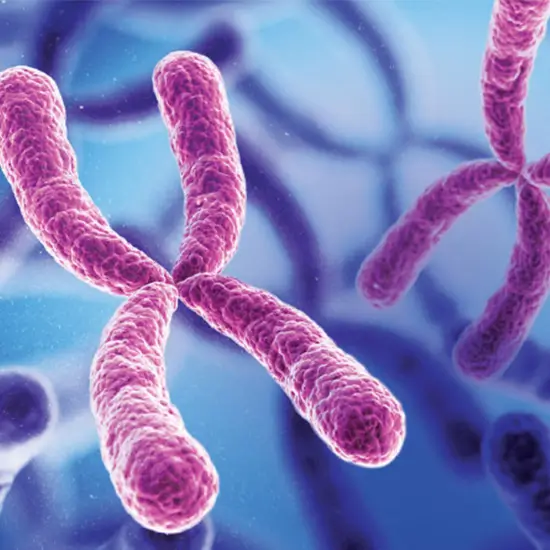 Chromosome Analysis, Hematologic Malignancy